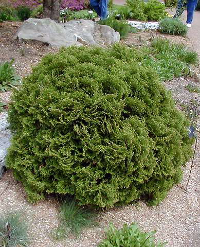 90-шы жылдардағы секс туралы әңгіме бар ресейлік бейне.